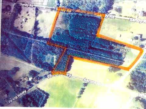 MLS 202601234
